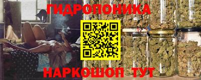 соль ск Кандалакша
